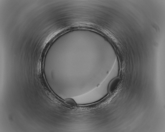 X0000112890877200909111502