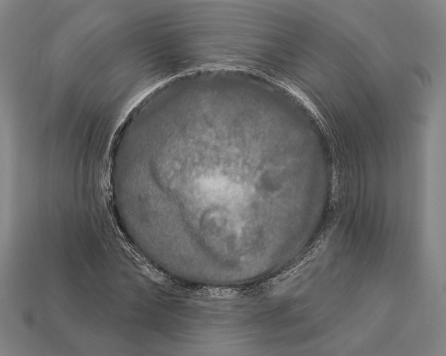 X0000112890878200909111502
