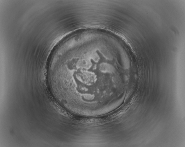 X0000112890879200909111502