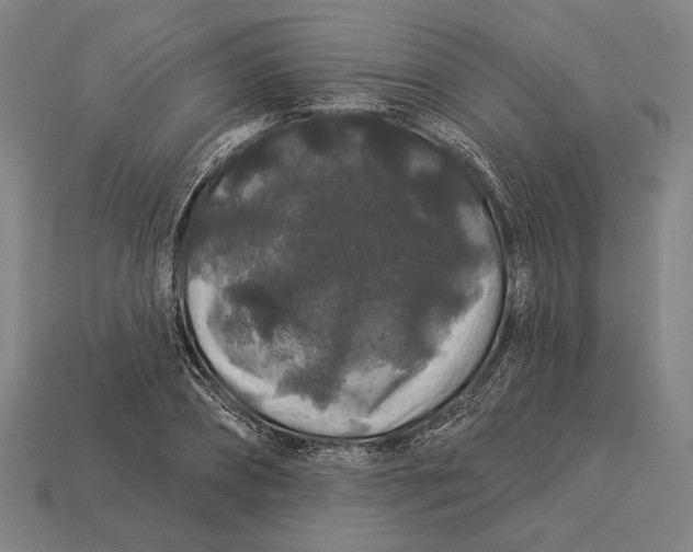 X0000112890882200909111502