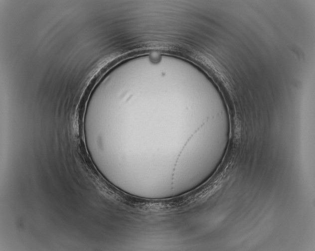 X0000112890883200909111502