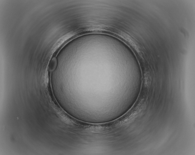 X0000112890885200909111502