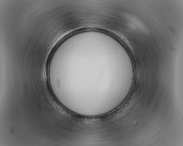 X0000112890887200909111502