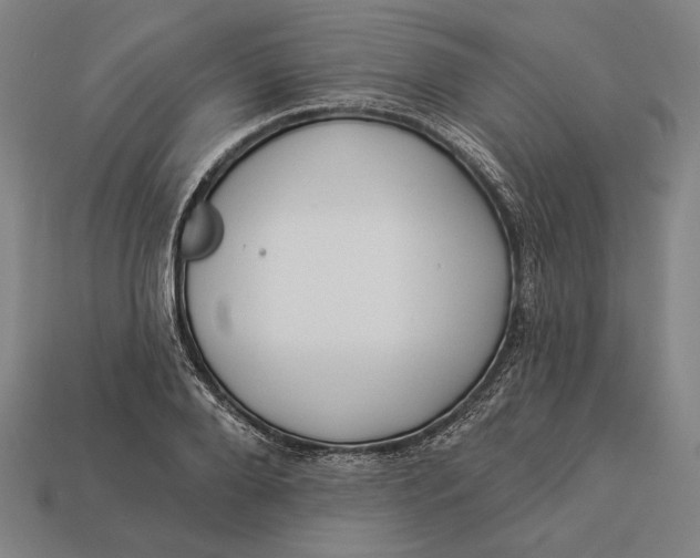 X0000112890888200909111502