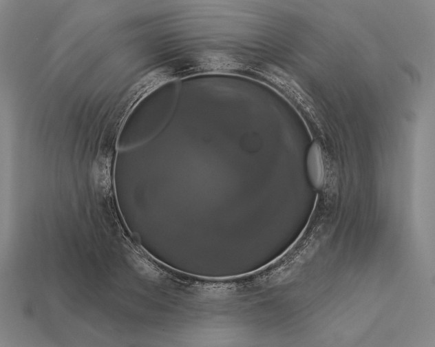 X0000112890889200909111502