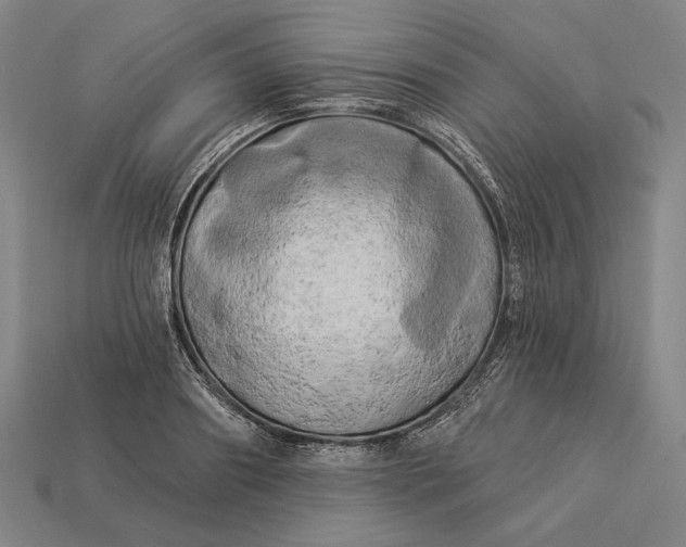 X0000112890890200909111502