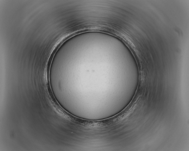 X0000112890891200909111502