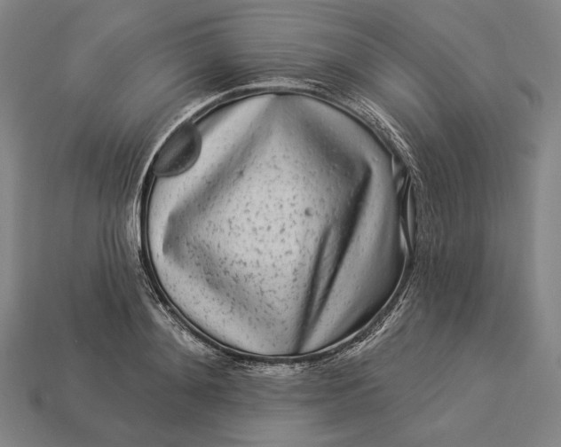 X0000112890892200909111502