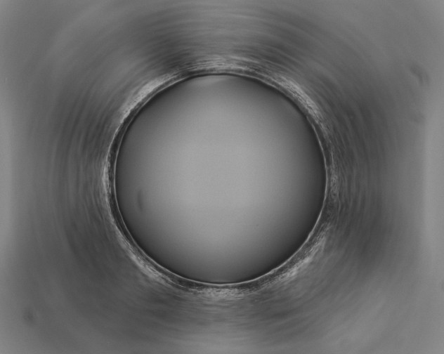 X0000112890893200909111502