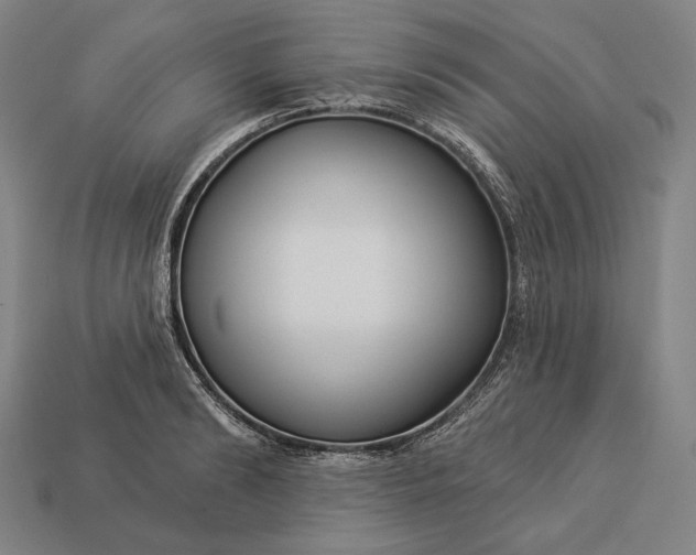 X0000112890894200909111502