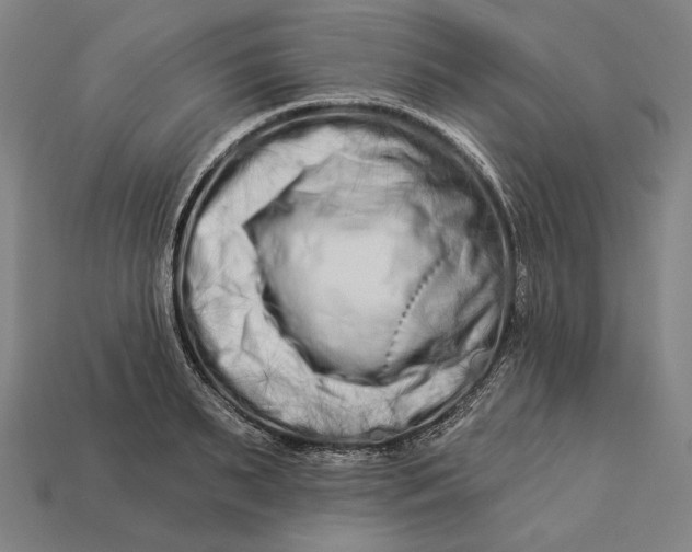 X0000112890895200909111502