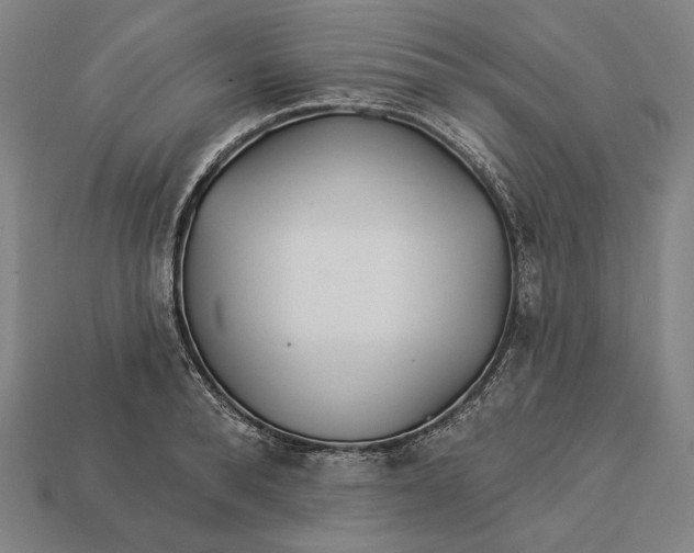 X0000112890896200909111501