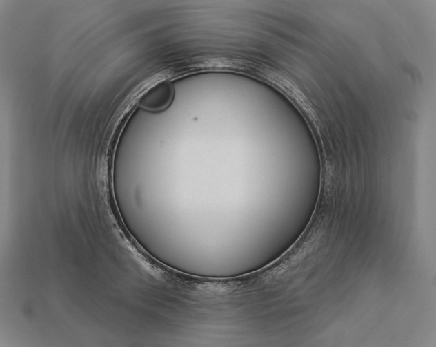 X0000112890898200909111501