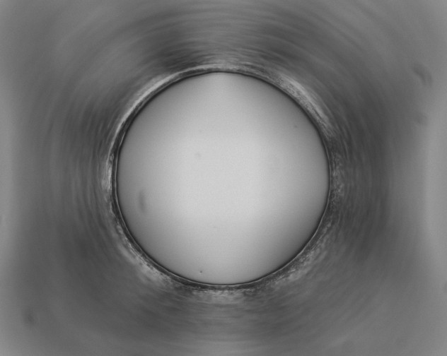 X0000112890900200909111501