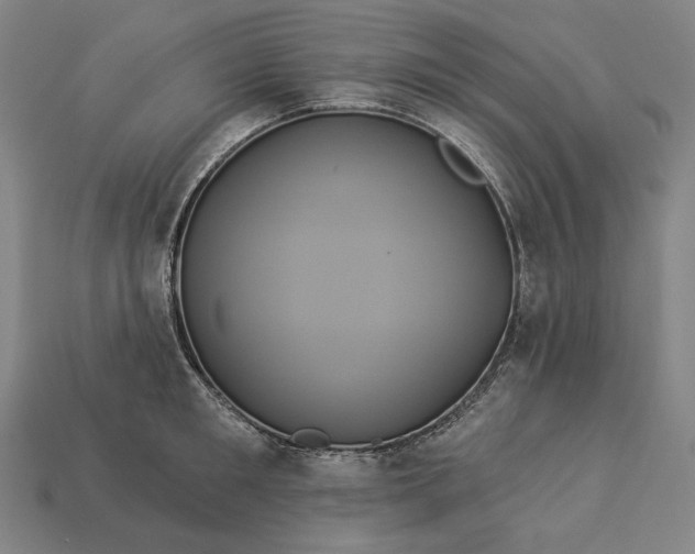 X0000112890901200909111501