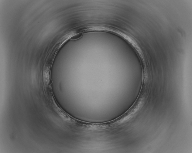 X0000112890905200909111501