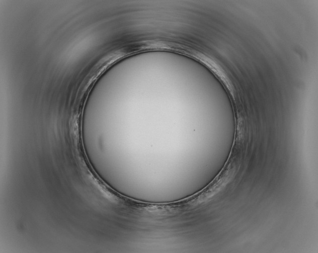 X0000112890906200909111501