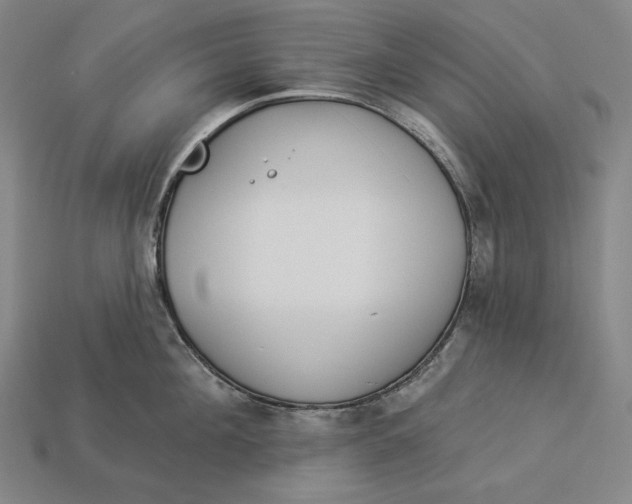X0000112890908200909111501