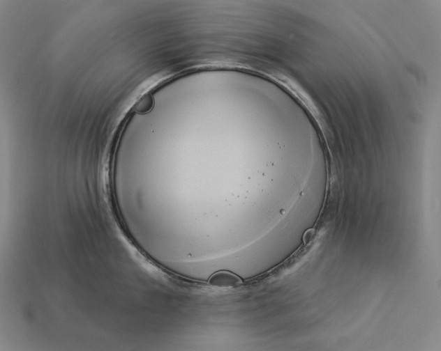 X0000112890909200909111501