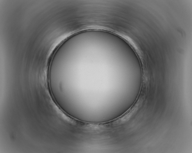 X0000112890910200909111501