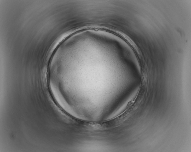 X0000112890911200909111501