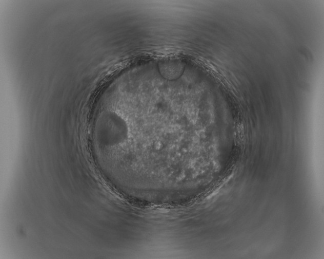 X0000112890913200909111501