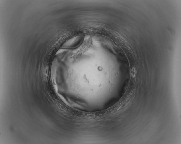 X0000112890915200909111501