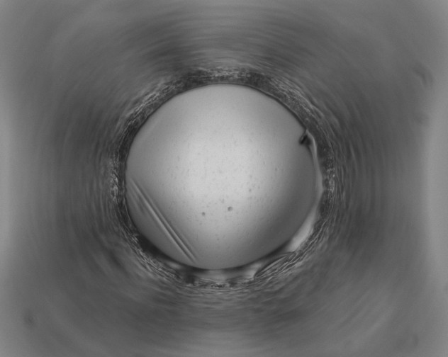 X0000112890916200909111501