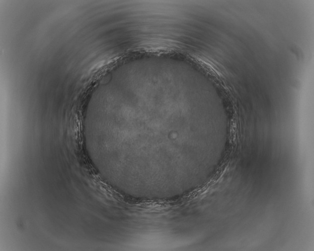 X0000112890917200909111501