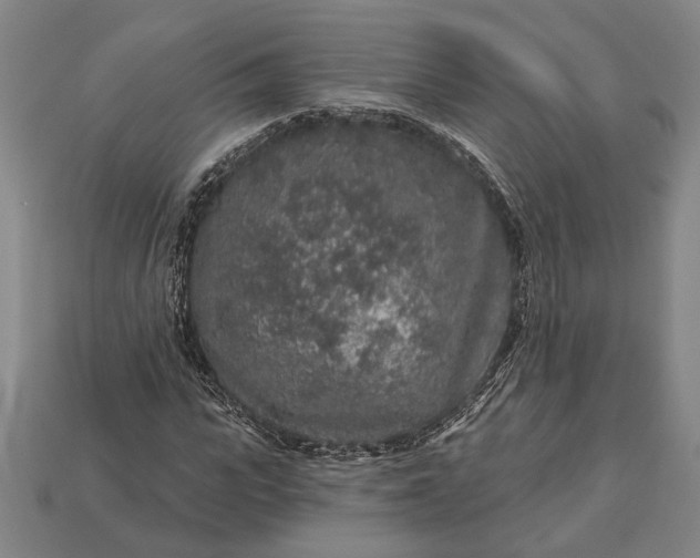 X0000112890919200909111501