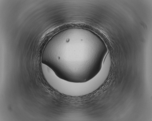 X0000112890920200909111501