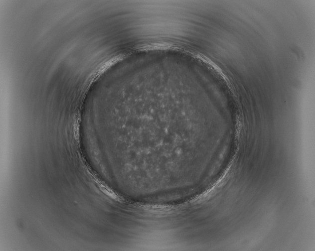 X0000112890921200909111501