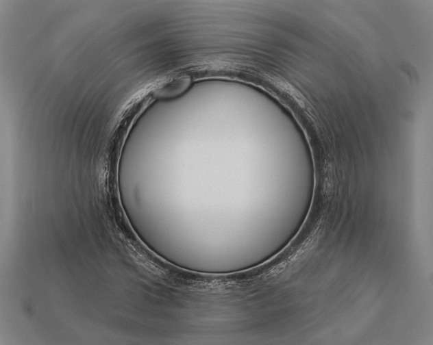 X0000112890922200909111501