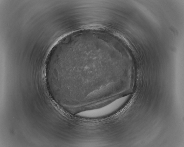 X0000112890923200909111501