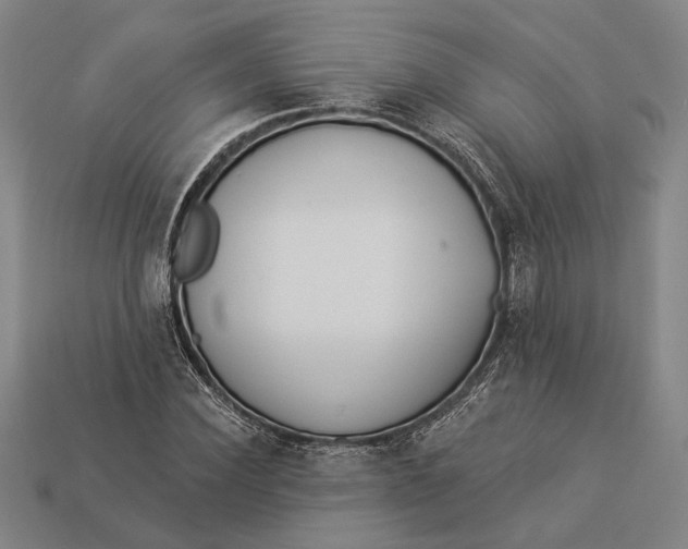 X0000112890924200909111501