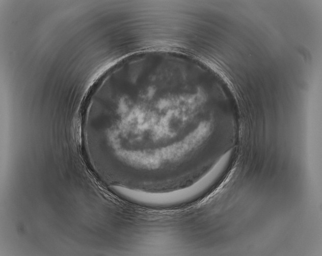 X0000112890925200909111501