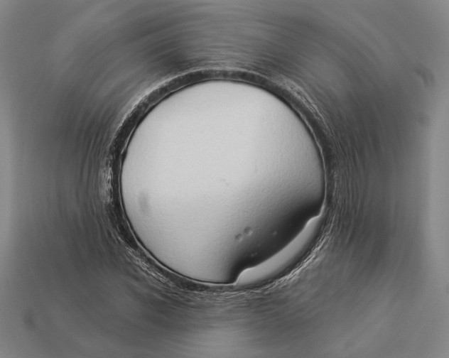 X0000112890926200909111501