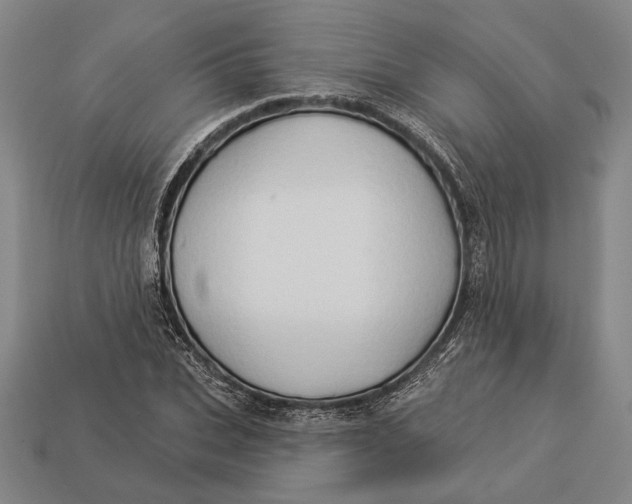 X0000112890927200909111501