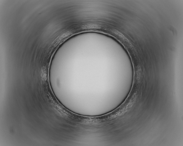 X0000112890929200909111501
