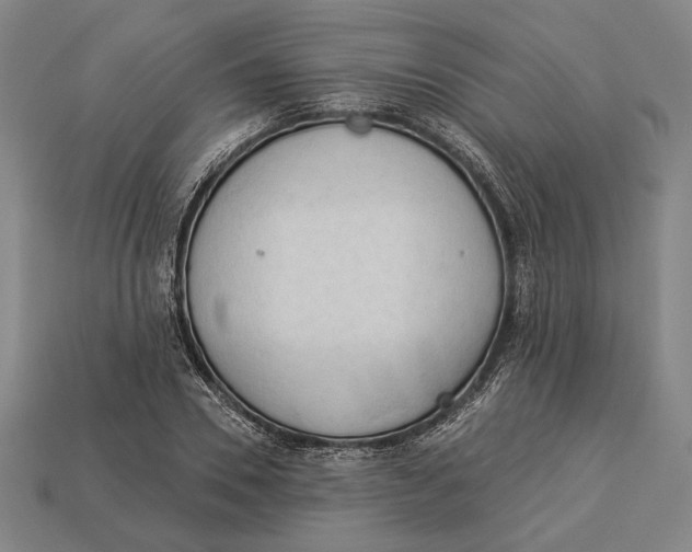 X0000112890930200909111501