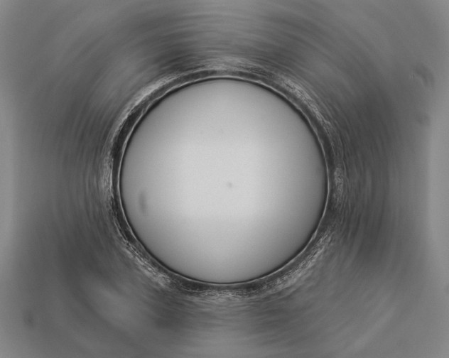 X0000112890931200909111501