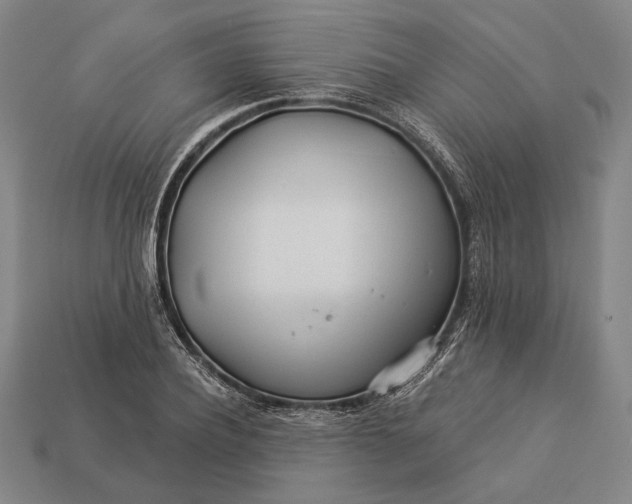 X0000112890932200909111501