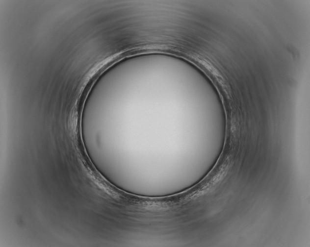 X0000112890933200909111501