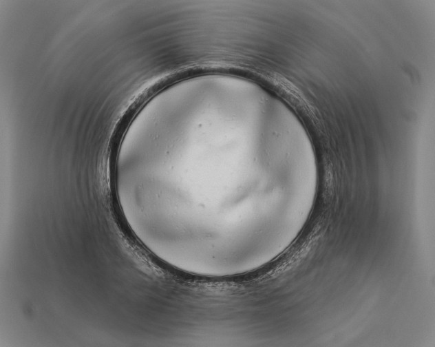 X0000112890934200909111501