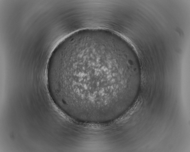 X0000112890935200909111501