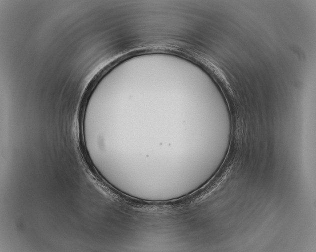 X0000112890936200909111501