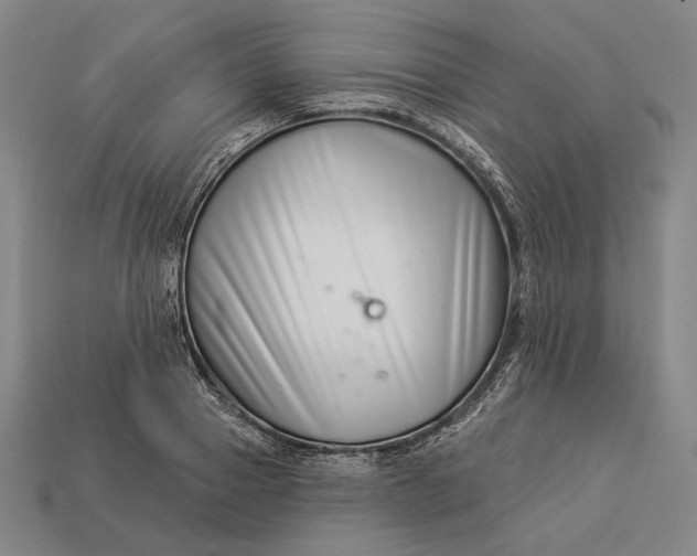 X0000112890937200909111501