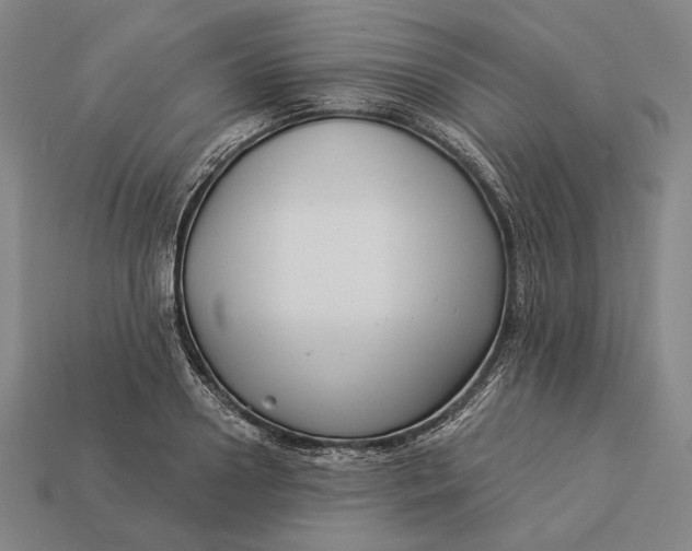 X0000112890938200909111501