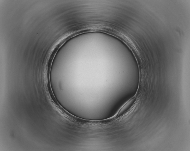 X0000112890939200909111501