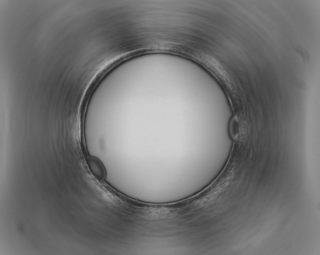 X0000112890940200909111501